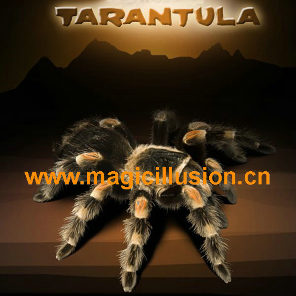 Magic Tarantula ITR Invisible Thread Reel