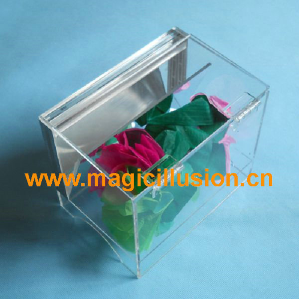 Appearing flower from clear box Magic Tricks