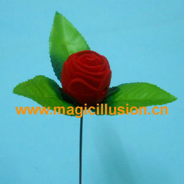 Rose to ring box magic tricks